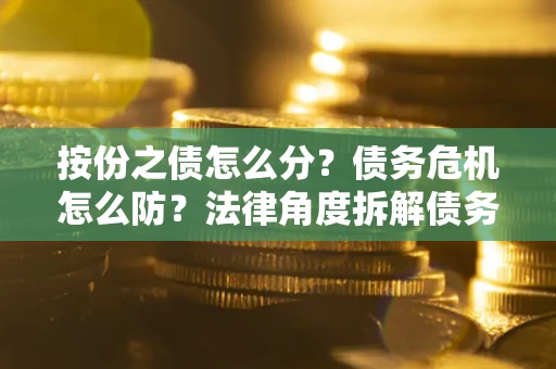 武汉按份之债怎么分？债务危机怎么防？法律角度拆解债务分配与风险自保指南