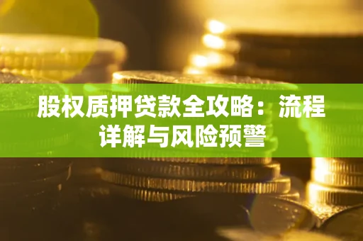 武汉股权质押贷款全攻略：流程详解与风险预警