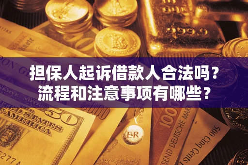 武汉担保人起诉借款人合法吗？流程和注意事项有哪些？