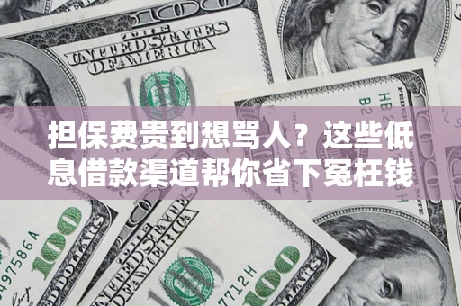 武汉担保费贵到想骂人？这些低息借款渠道帮你省下冤枉钱