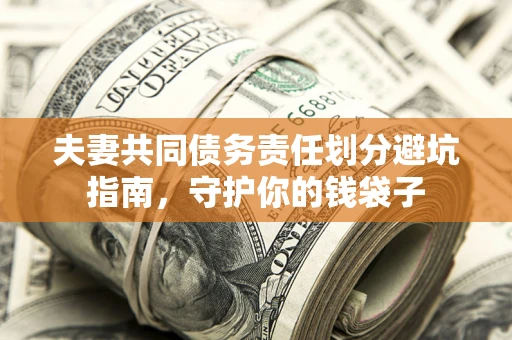 武汉夫妻共同债务责任划分避坑指南，守护你的钱袋子