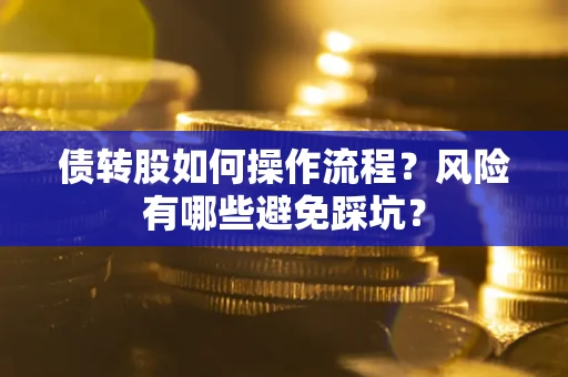 武汉债转股如何操作流程?风险有哪些避免踩坑? 武汉债转股如何操作流程?风险有哪些避免踩坑?